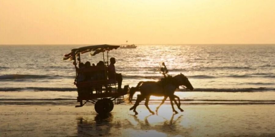 Horse Cart Ride