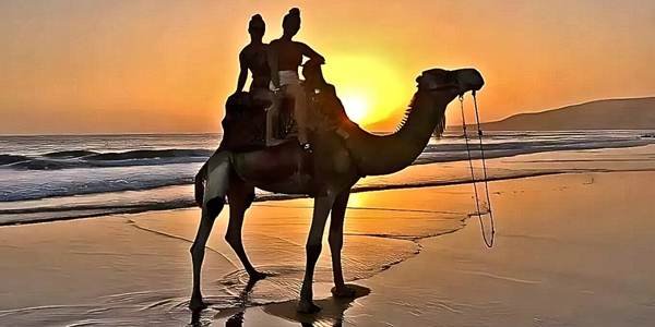 Camel Ride